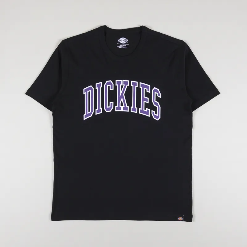 Dickies Aitkin T Shirt Black Imperial Palace