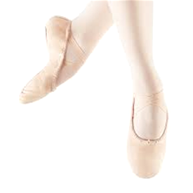 Leo 055 Adult Stretch Canvas Split Sole Ballet Slipper