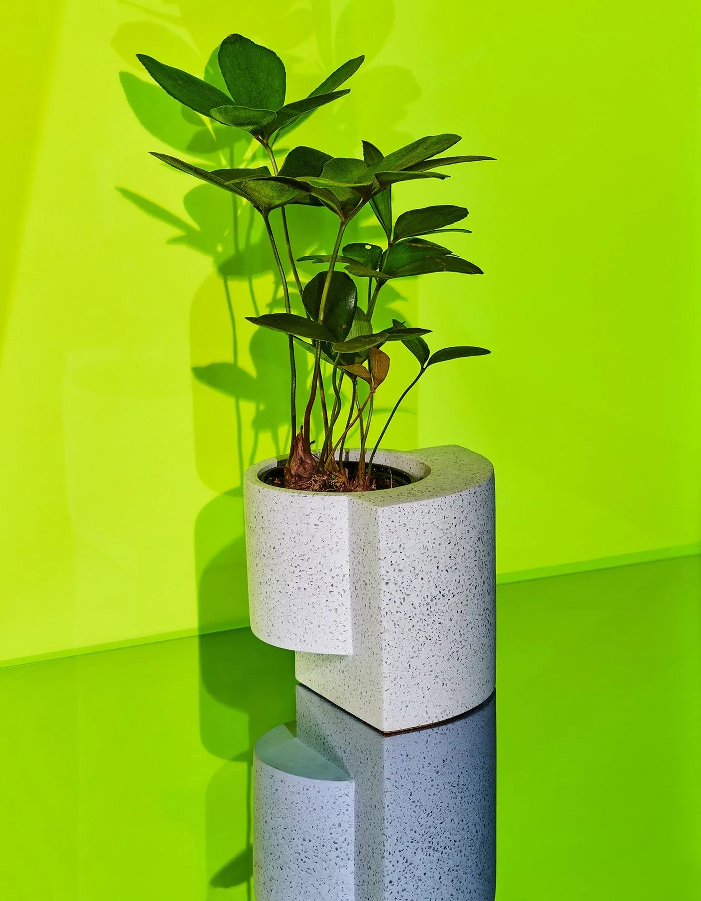 Platform Planter Small White