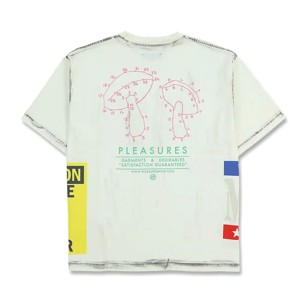 Pleasures Evolution Heavyweight SS Tee