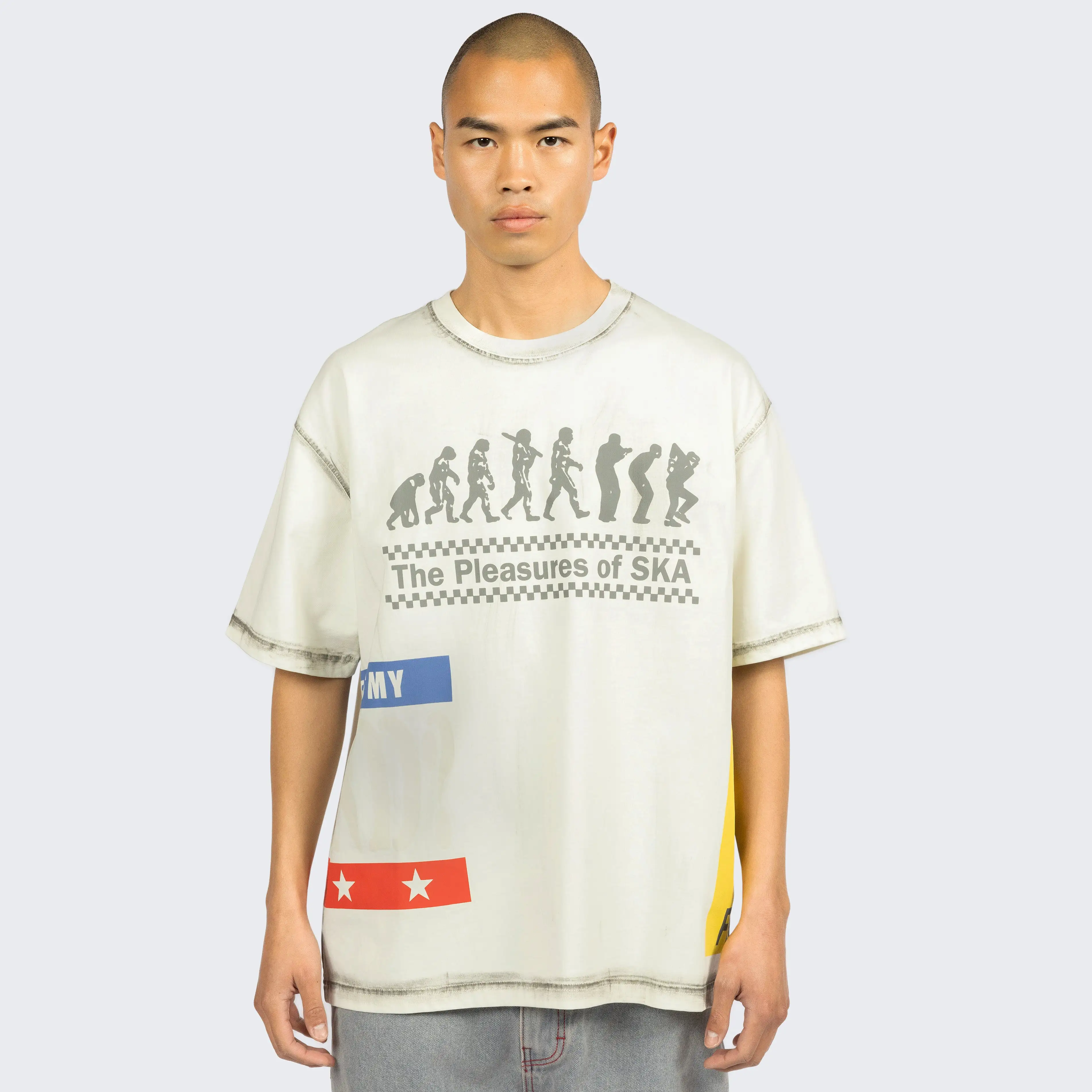 Pleasures Evolution Heavyweight SS Tee