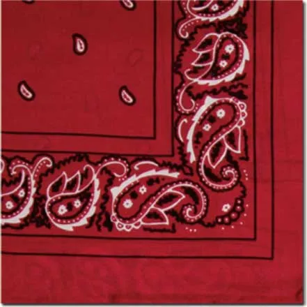 Silk Bandana Scarf 20