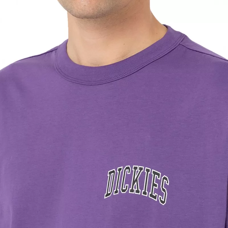 T-shirt Dickies Aitkin Chest - Imperial Palace